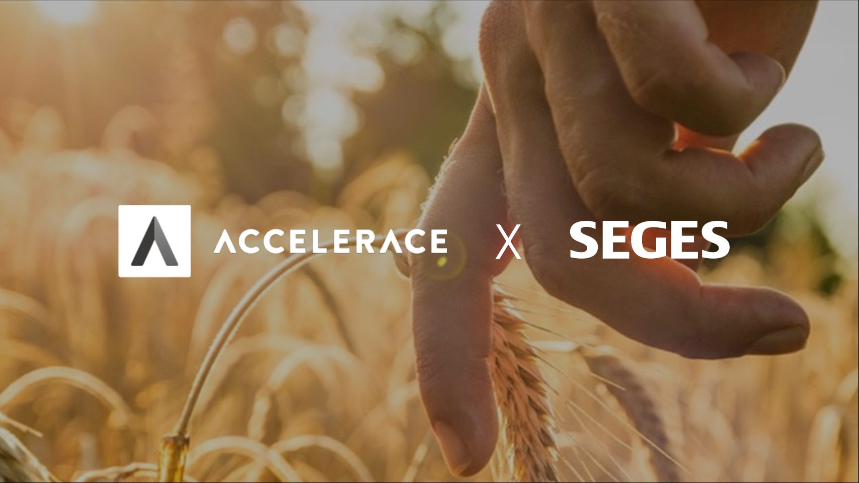 New partnership alert: test your sustainable farming solution with SEGES